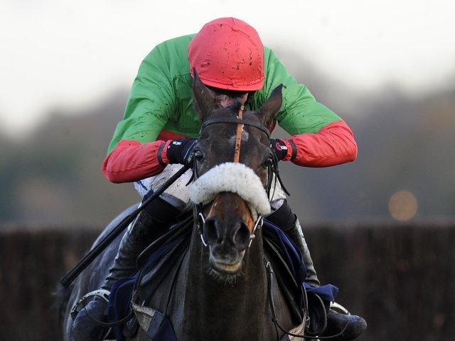The Rainbow Hunter in action at Ascot on November 23, 2012.