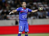 Nice's Colombian goalkeeper David Ospina reacts during the French L1 football match between OGC Nice and Stade de Reims, on April 26, 2014