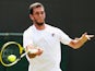 James Ward in action during round one of Wimbledon on June 23, 2014.