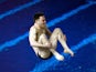 Oliver Dingley competes in the Men's 1m final on day 1 of the British Gas Diving Championships on February 8, 2013