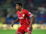 Cardiff player Tom Adeyemi in action during the Sky Bet Championship match between Cardiff City and Middlesbrough at Cardiff City Stadium on September 16, 2014