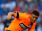 Brighton & Hove Albion end Shamir Fenelon's loan at Rochdale