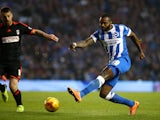 Darren Bent of Brighton scores the first goal of the game during the Sky Bet Championship match between Brighton & Hove Albion and Fulham at The Amex Stadium on November 29, 2014