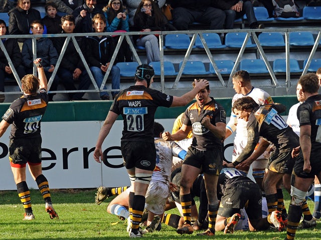 Wasps flanker Guy Thompson and team mates celebrate after scoring a try during the European Rugby Champions Cup, Castres vs Wasps, on December 7, 2014