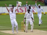 South African bowler Dale Steyn celebrates as he takes the wicket of West Indies batsman Shivnarine Chandepaul during the 4th day of the first test match between South Africa and the West Indies at Supersport Park in Centurion on December 20, 2014