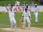 South African bowler Dale Steyn celebrates as he takes the wicket of West Indies batsman Shivnarine Chandepaul during the 4th day of the first test match between South Africa and the West Indies at Supersport Park in Centurion on December 20, 2014