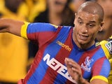 Adlene Guedioura in action for Crystal Palace on July 23, 2014