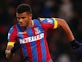 Fraizer Campbell 'to fight for Crystal Palace future'