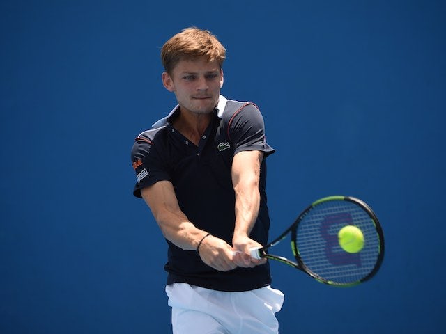 David Goffin in action on day one of the Australian Open on January 19, 2015