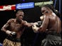 Deontay Wilder (L) connects on WBC heavyweight champion Bermane Stiverne during their title fight at the MGM Grand Garden Arena on January 17, 2015