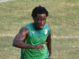 Ivory Coast's forward Wilfried Bony takes part in a training session as part of their preparation for the 2015 African Cup of Nations football tournament in Malabo on January 18, 2015