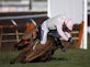 Annie Power fall at Cheltenham Festival 'saves bookmakers £50m'