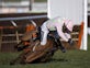 Annie Power fall at Cheltenham Festival 'saves bookmakers £50m'