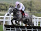 Champagne Fever withdrawn from Queen Mother Champion Chase because of bite