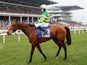 A.P. McCoy riding Carlingford Lough looks on after finishing ninth in the Betfred Cheltenham Gold Cup on March 13, 2015