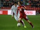 Czech captain Rosicky out of Euro 2016