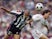 Watch five memorable Juventus goals against Spanish sides in Turin