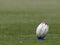 Coronavirus latest: Australian rugby league match postponed after restart