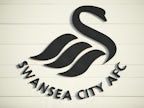 Swansea City close in on Mark Birighitti signing