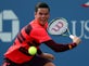Milos Raonic pulls out of Olympics due to Zika concern
