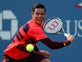 Milos Raonic pulls out of Olympics due to Zika concern