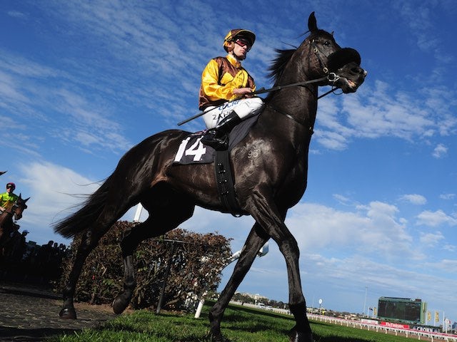 Alpine Eagle grins as he struts out majestically ahead of the Makybe Diva Stakes Day on September 12, 2015