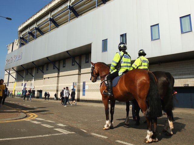 A horse waits patiently outside White Hart Lane ahead of the game between Spurs and Palace on September 20, 2015