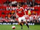 Daley Blind suffers ankle injury