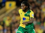 Norwich City's Dieumerci Mbokani describes "miracle" survival at Brussels airport