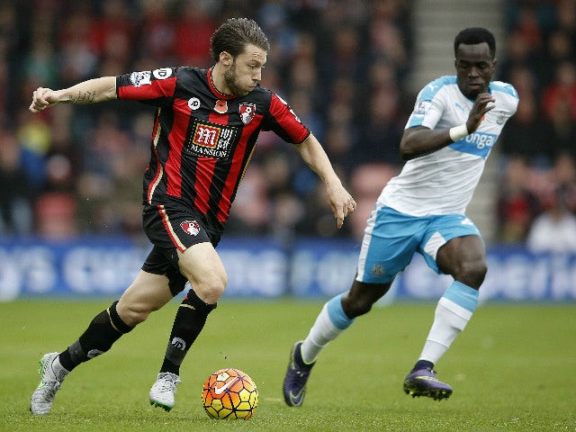 Bournemouth's English-born Irish midfielder Harry Arter (L) vies against Newcastle United's Ivorian midfielder Cheick Tiote during the English Premier League football match between Bournemouth and Newcastle United at the Vitality Stadium in Bournemouth, s
