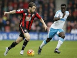 Bournemouth's English-born Irish midfielder Harry Arter (L) vies against Newcastle United's Ivorian midfielder Cheick Tiote during the English Premier League football match between Bournemouth and Newcastle United at the Vitality Stadium in Bournemouth, s