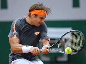 David Ferrer in action during the French Open on May 28, 2016