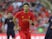 Cardiff sign Grujic from Liverpool on loan