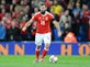 Joe Ledley willing to drop to Championship following Crystal Palace release