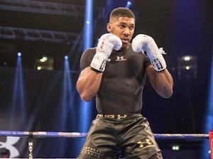 Joshua: 'One fight won't define career'