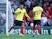 Watford challenge FA panel decision to dismiss Capoue’s red card appeal