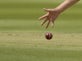 Calls for independent inquiry into lack of BAME officials in cricket