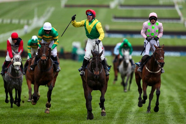oped racing 640  Cheltenham Gold Cup The Primary Contenders