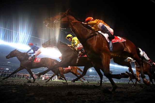 OPED Dubai World Cup Race Image for Feature