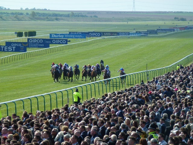 Racing at Newmarket the 100 Guinees