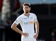 Swansea City defender Federico Fernandez: 'FC Krasnodar want to sign me'
