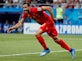 West Brom 'value Nacer Chadli at £17m'