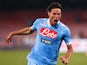 Napoli's Edinson Cavani celebrates after scoring against AS Roma during their Italian Serie A soccer match at the San Paolo stadium in Naples January 6, 2013