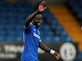 Cardiff take Oumar Niasse on loan from Everton