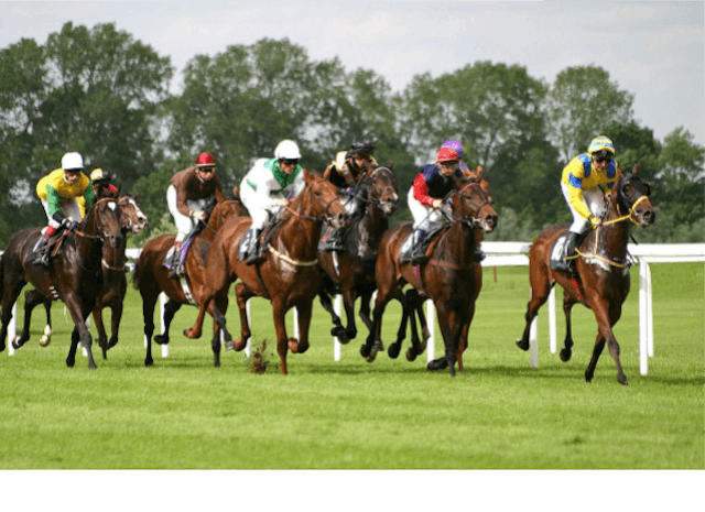 WIN! Two tickets to Royal Ascot on Friday, June 21