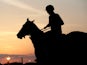 A general view of a silhouetted horse