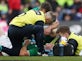 Joe Schmidt plays down Sexton head injury