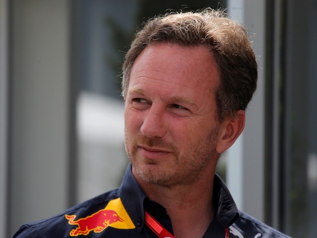 Horner plays down F1 top job rumours