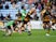 Harlequins miss out on playoffs with dramatic Wasps defeat