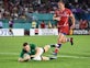Rugby World Cup day 15: Ireland unconvincing in Russia victory